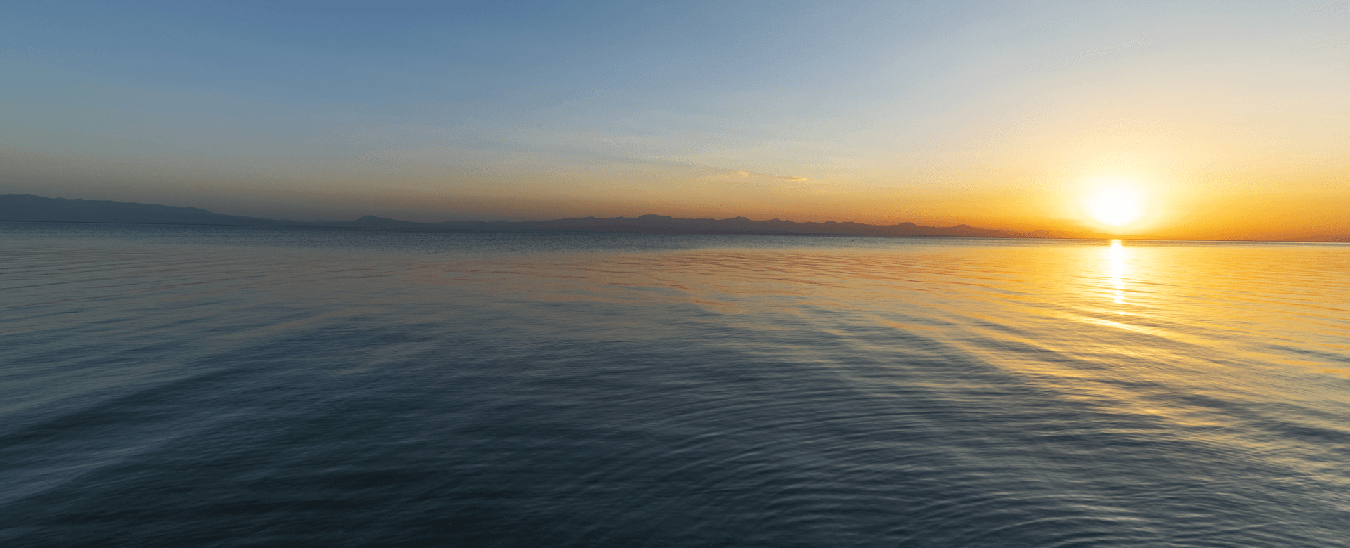 ROLE CLARITY AND EFFECTIVE EXERCISE OF AUTHORITY AND RESPONSIBILITIES