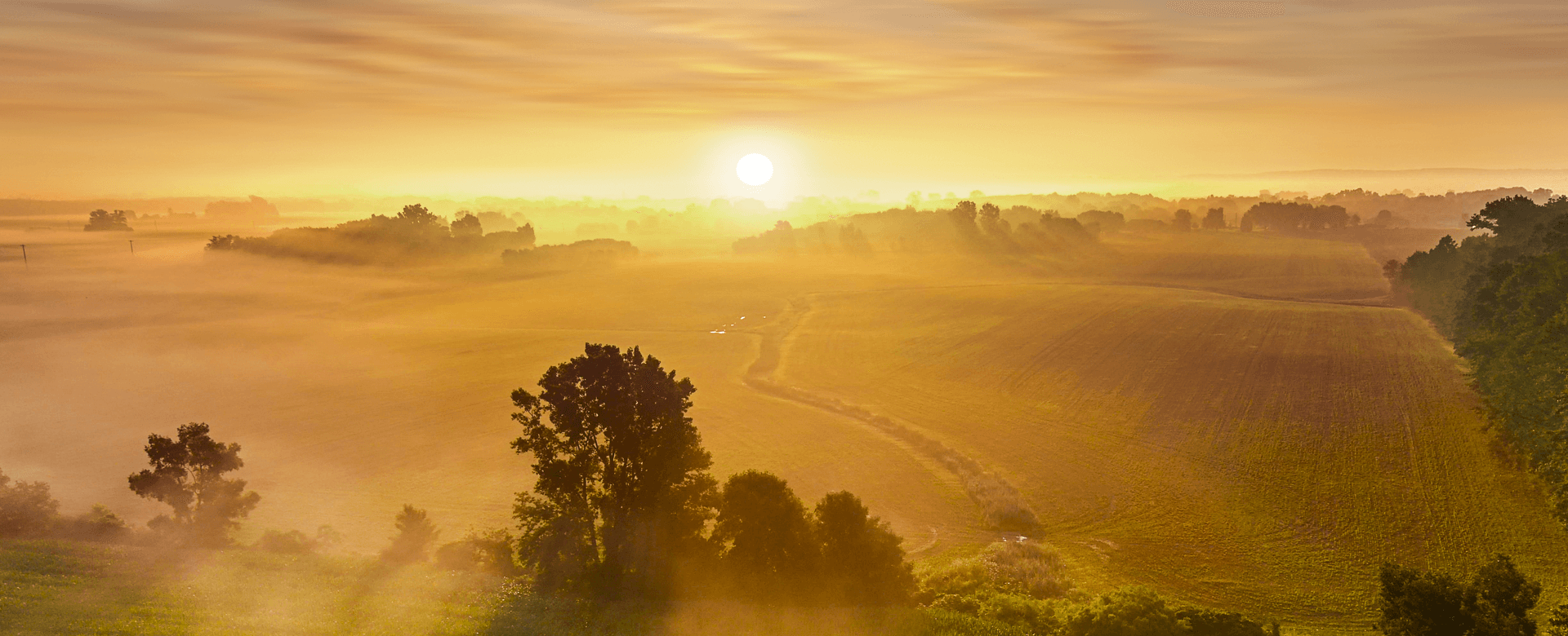 FOREWORD BY NSSF CHAIRMAN BOARD OF DIRECTORS