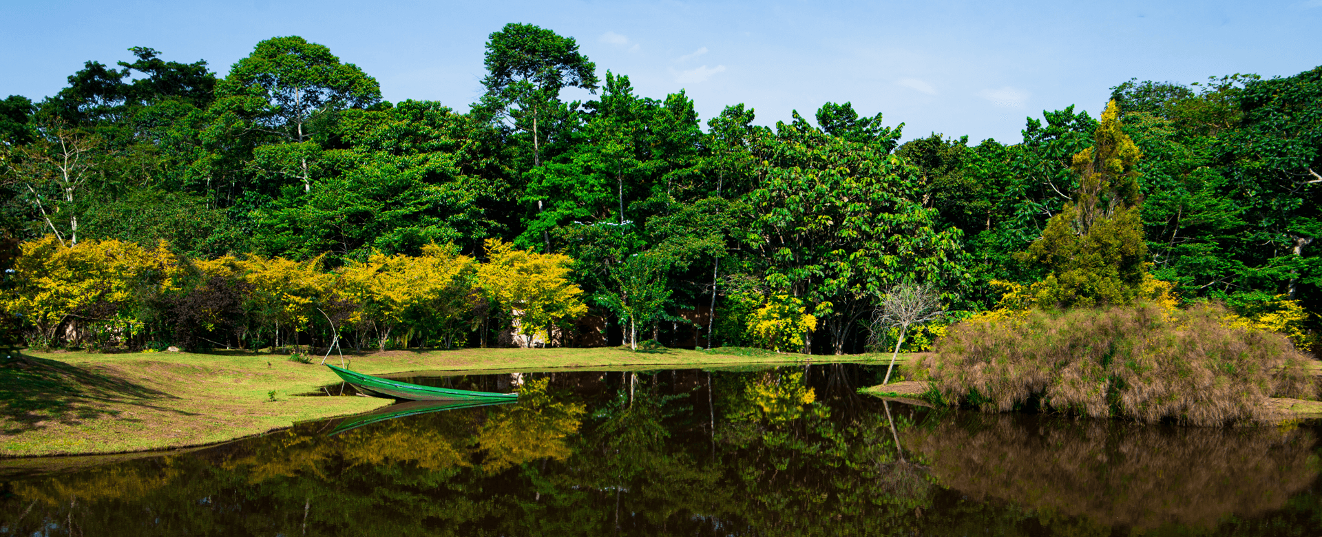 Message from our Managing Director