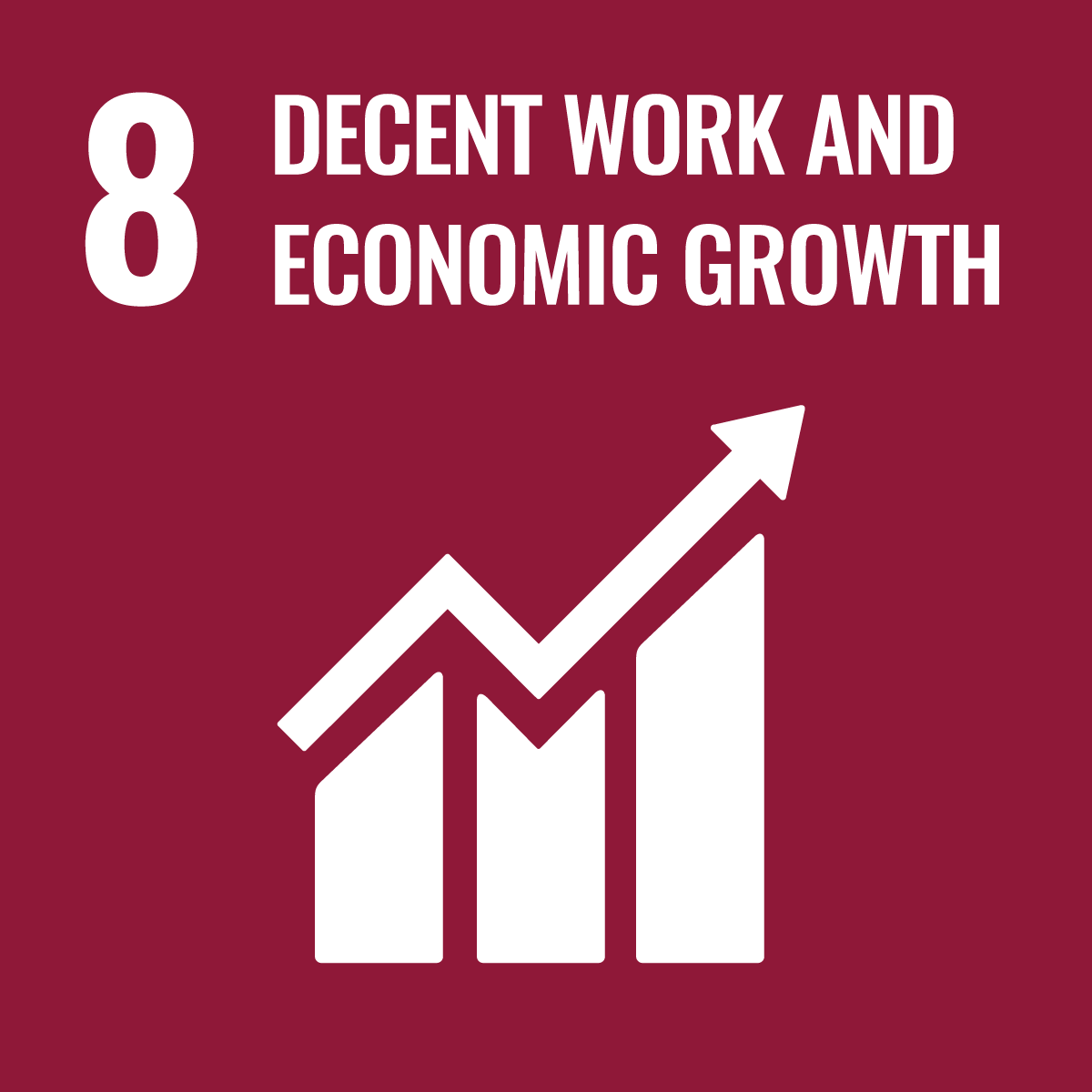 SDG Icon