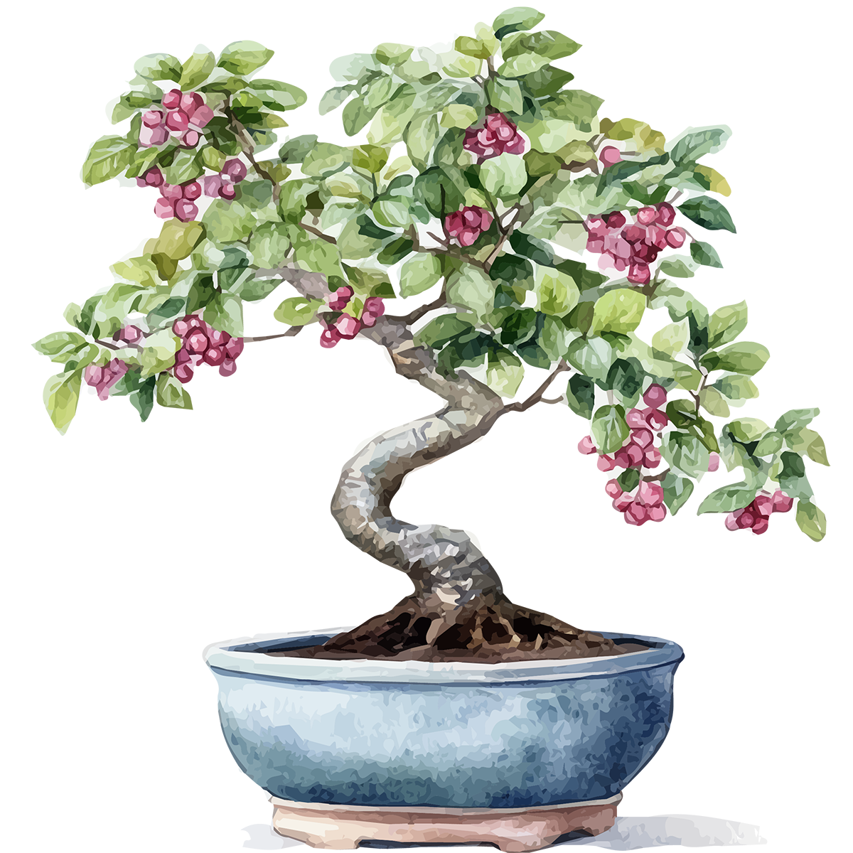 Bonsai Tree Icon